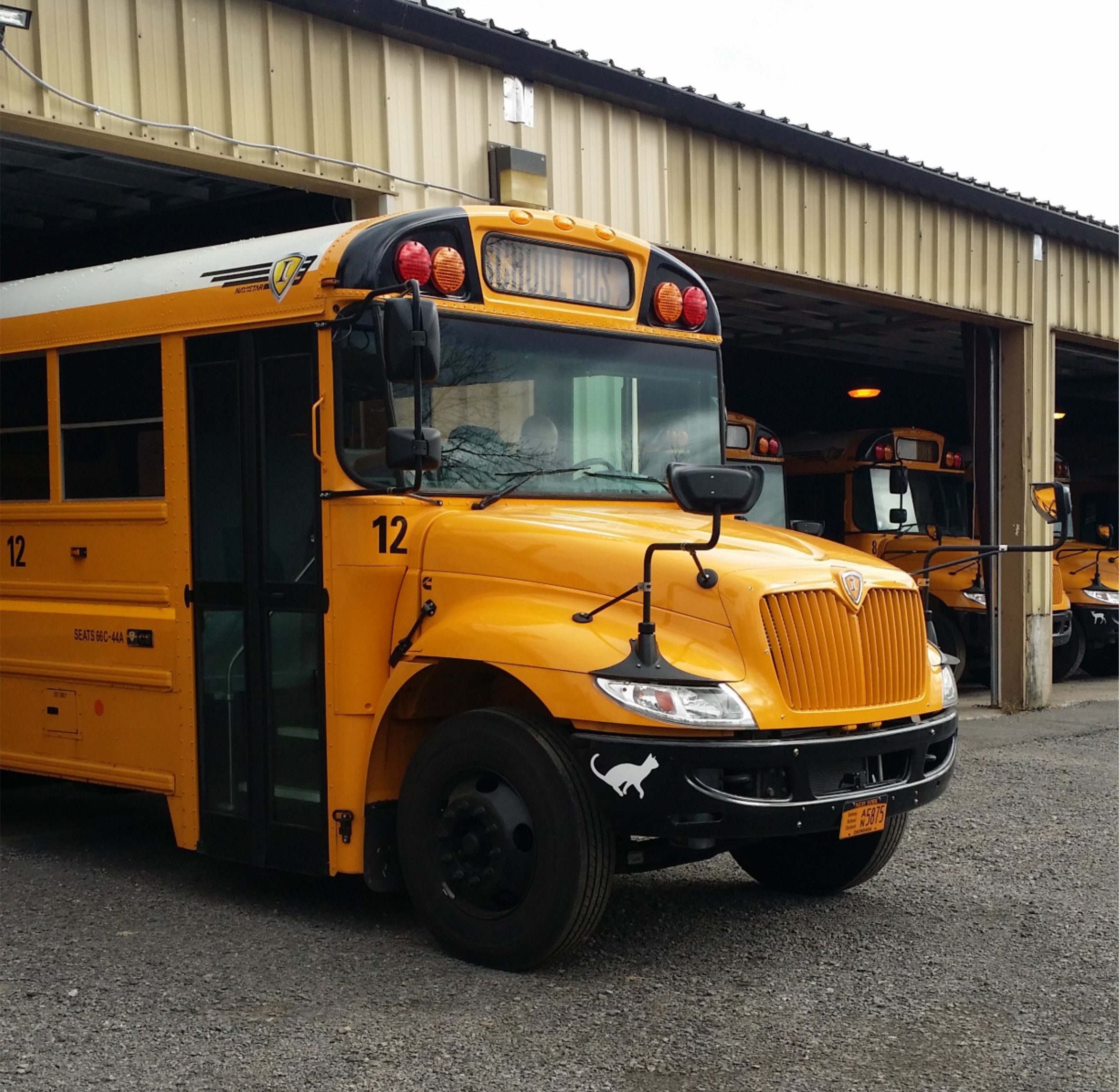 photograph of a bus