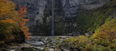 B.E.S.T. Gorges