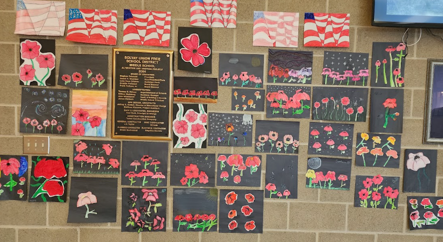 Student art projects - poppies, on wall