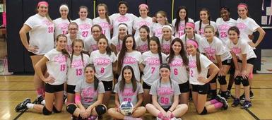 Community Serve-Ace: Dig Pink Volleyball Game