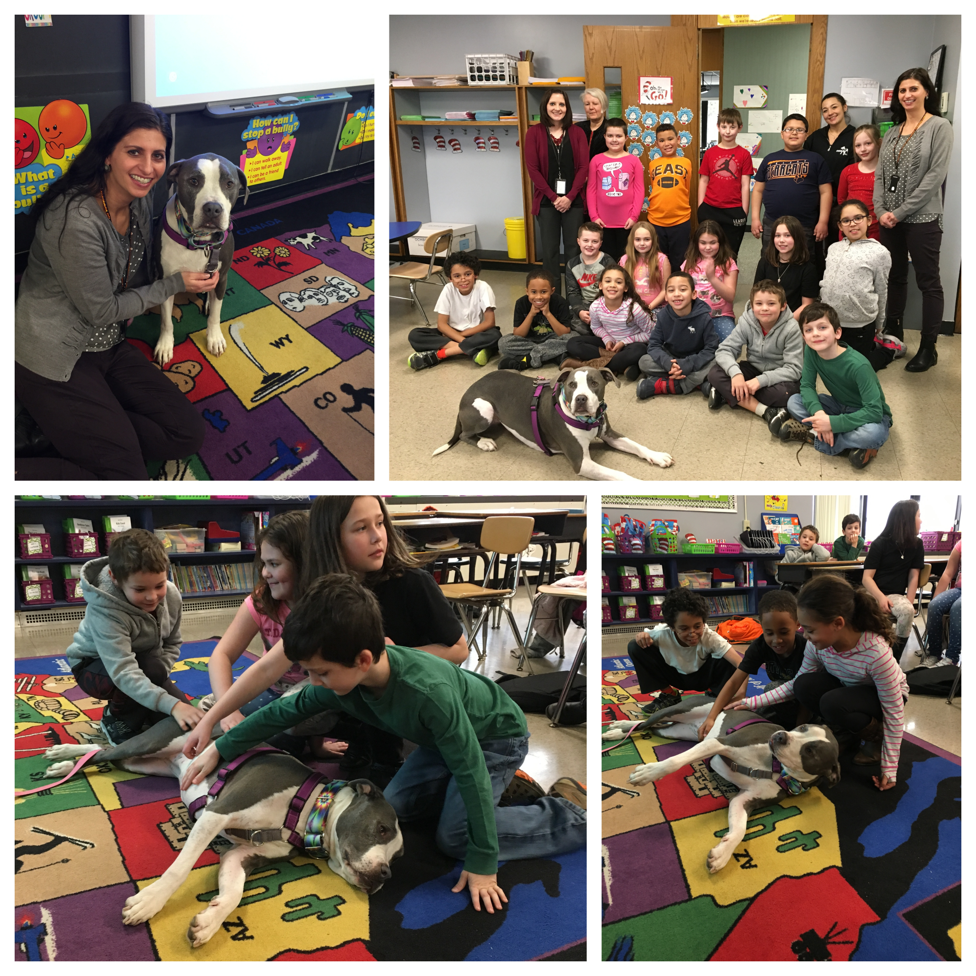students pose with dogs from humane society