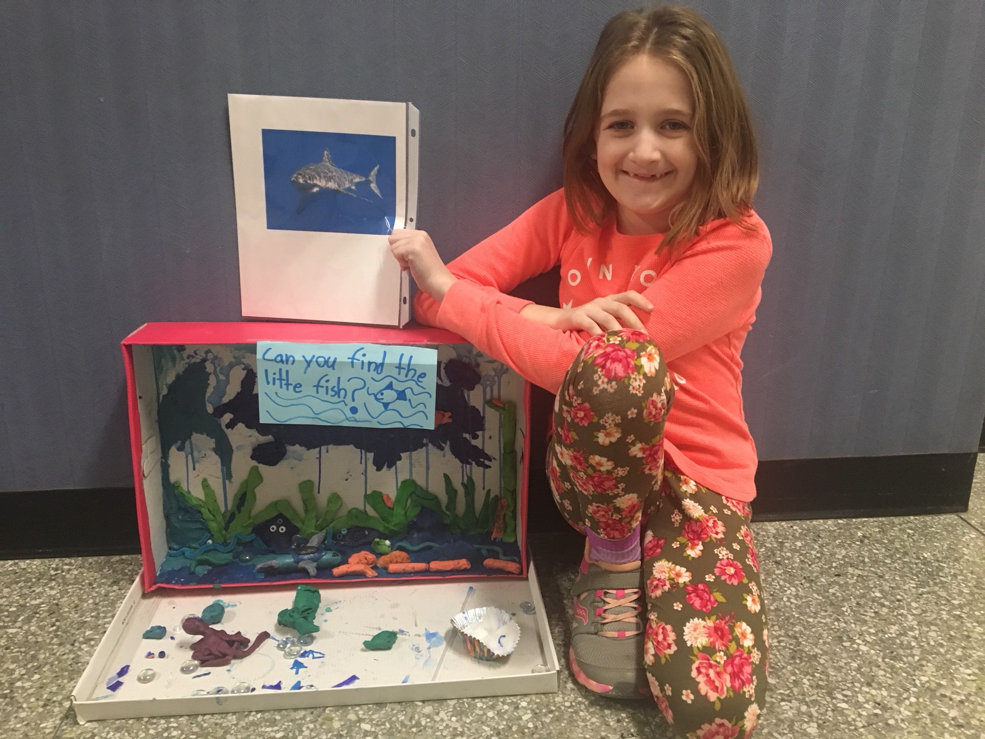 SES students complete animal research projects | Solvay Union Free School District SES students complete animal research projects | Solvay Union Free School District