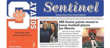 Sentinel November 2018