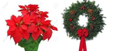 PTO Poinsettia Fundraiser 2019